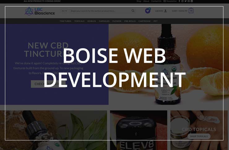 Boise Web Development Company