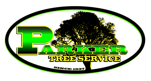 Parker tree service