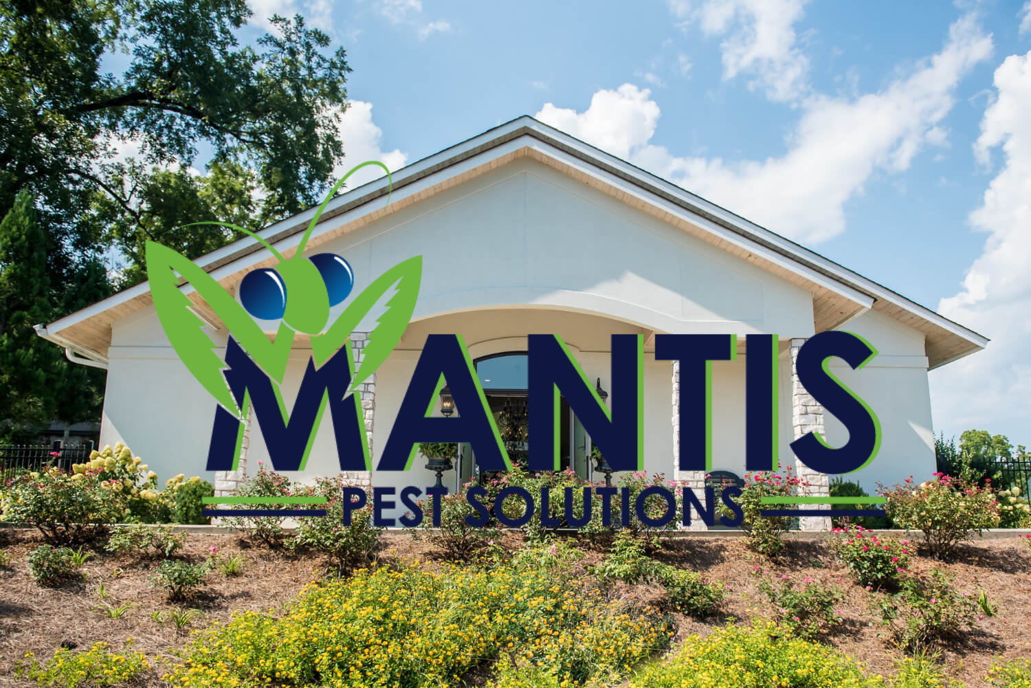 mantis pest solutions
