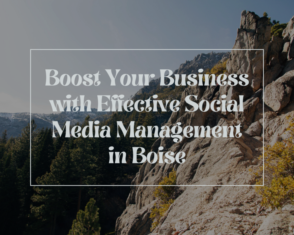 social media management in boise