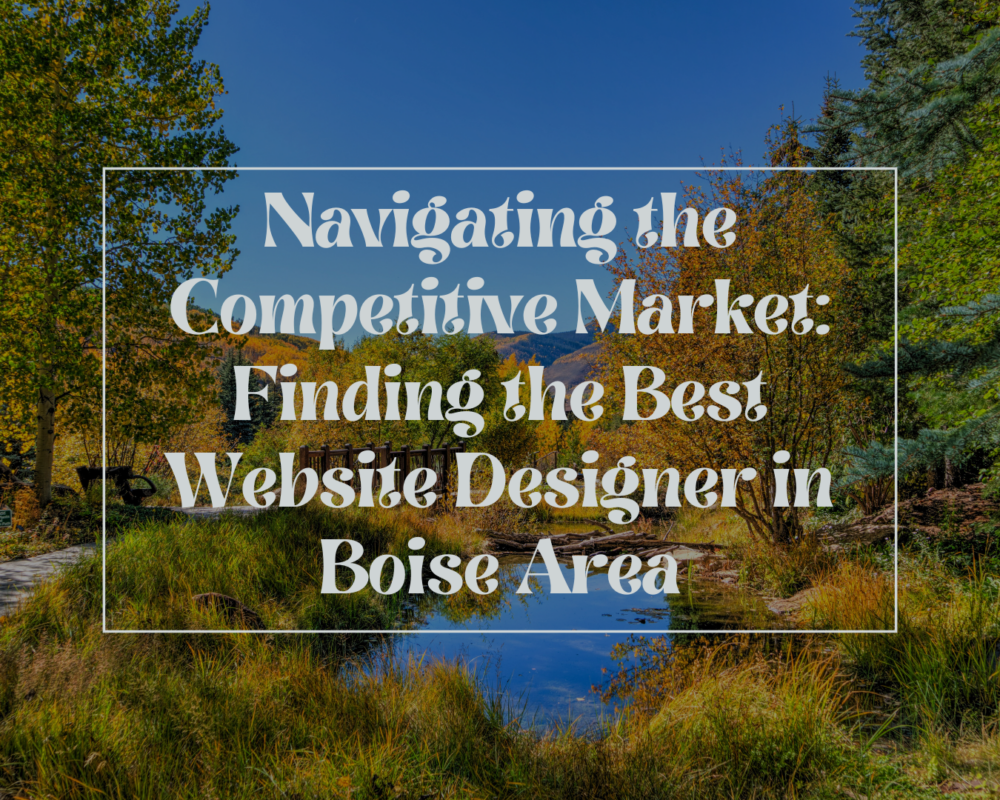 website design in boise area