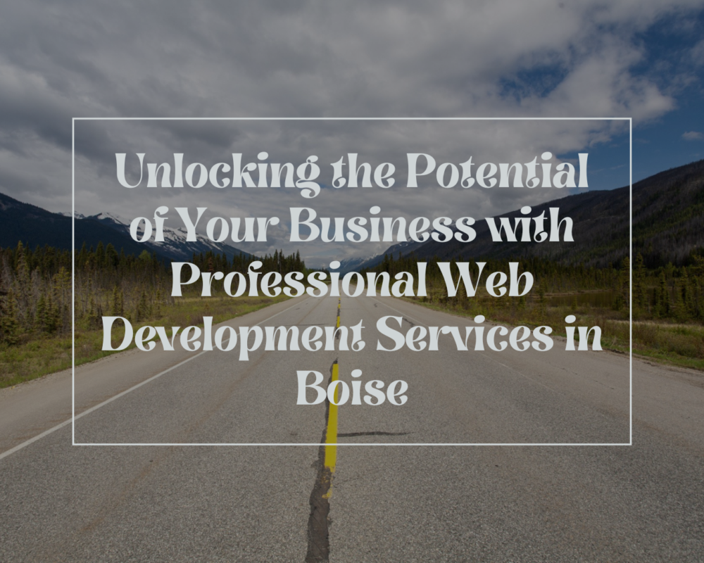 web development services in Boise