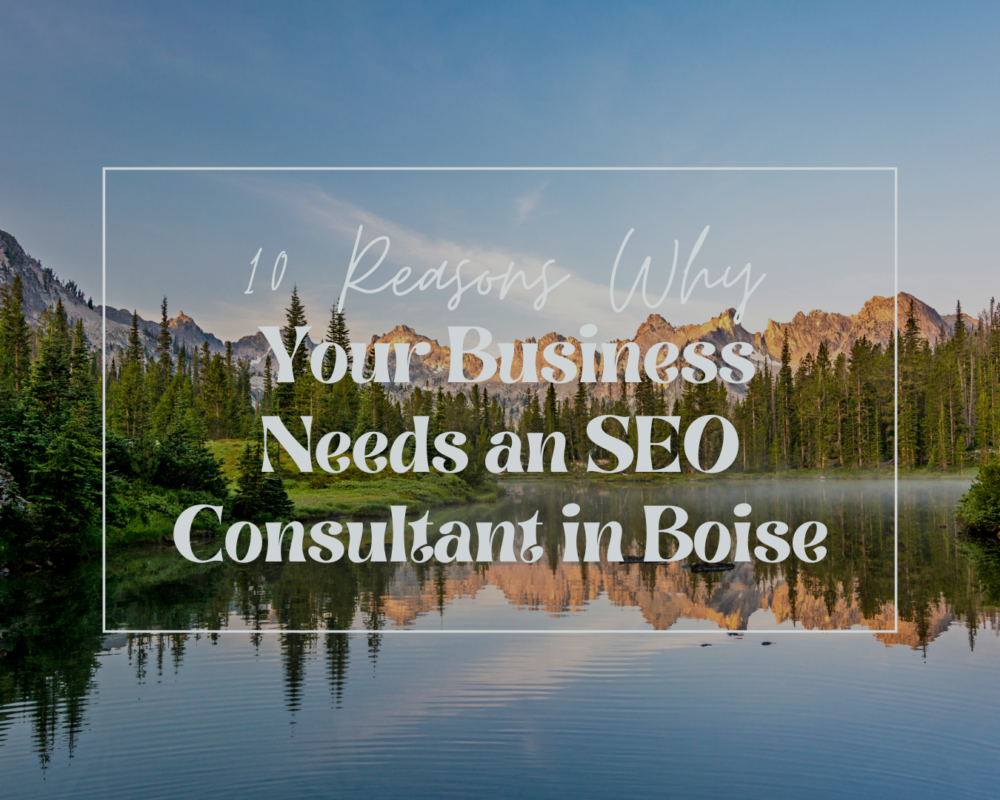 SEO Consultant in Boise