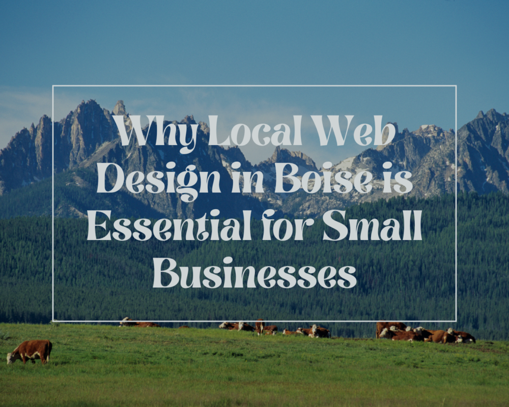local web design in boise