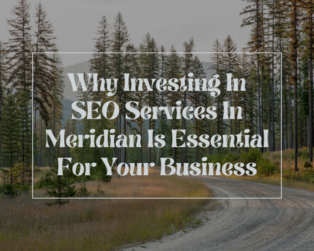 SEO Services In Meridian