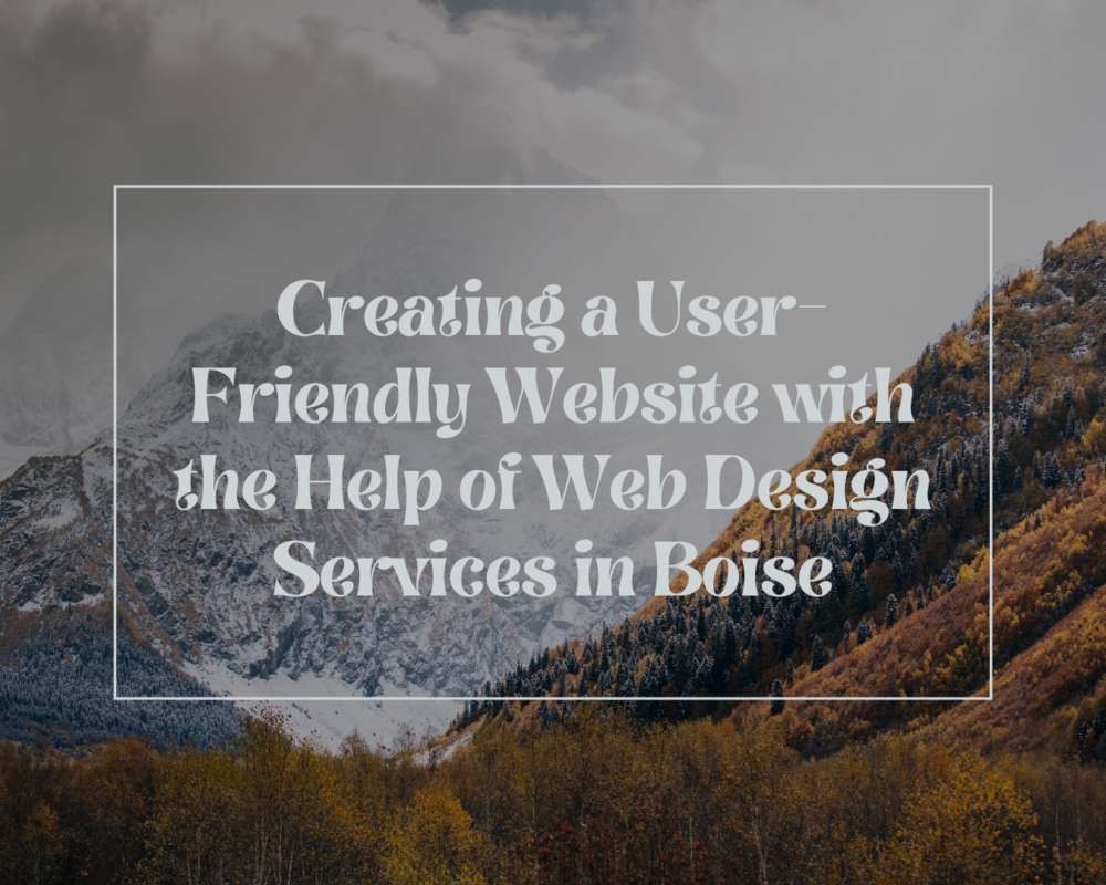 Web Design Services in Boise