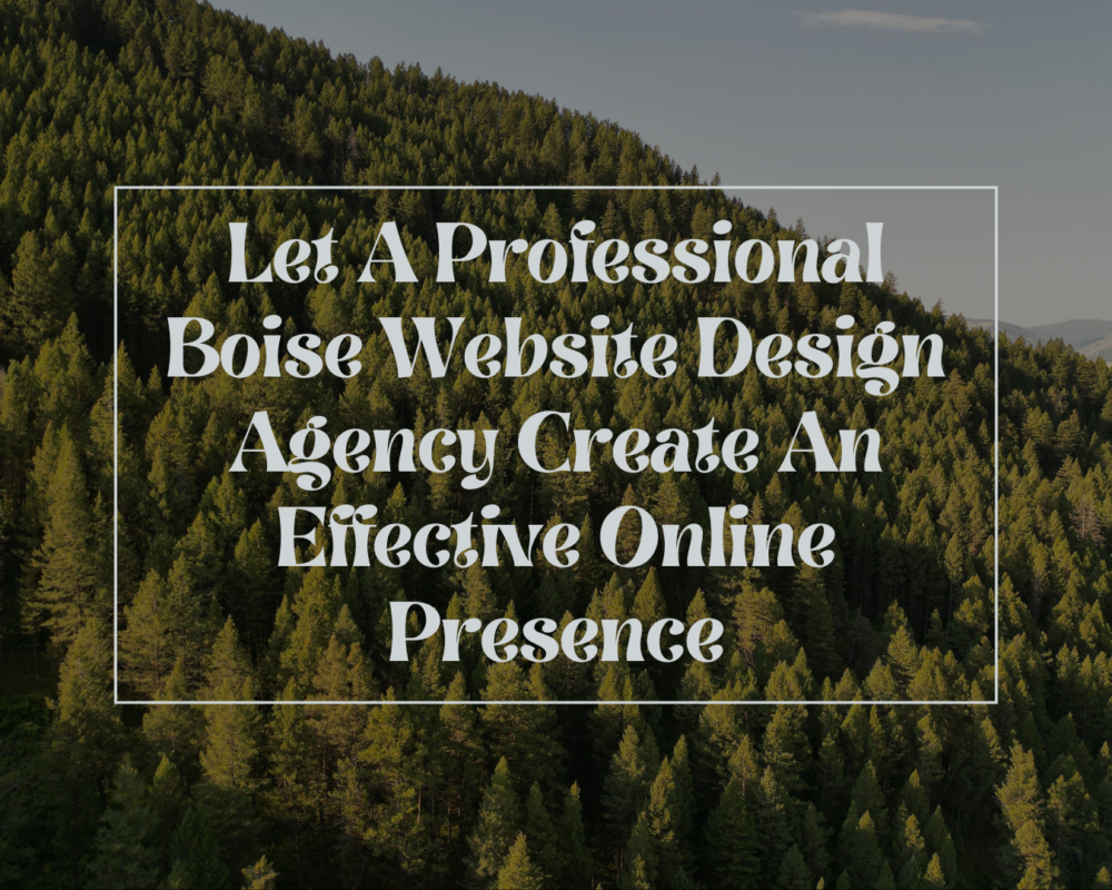 Boise Website Design Agency