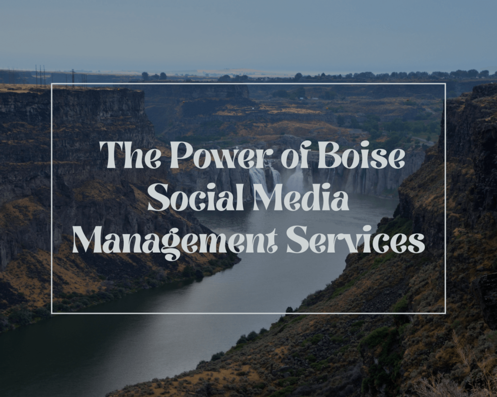 Social Media Management Services