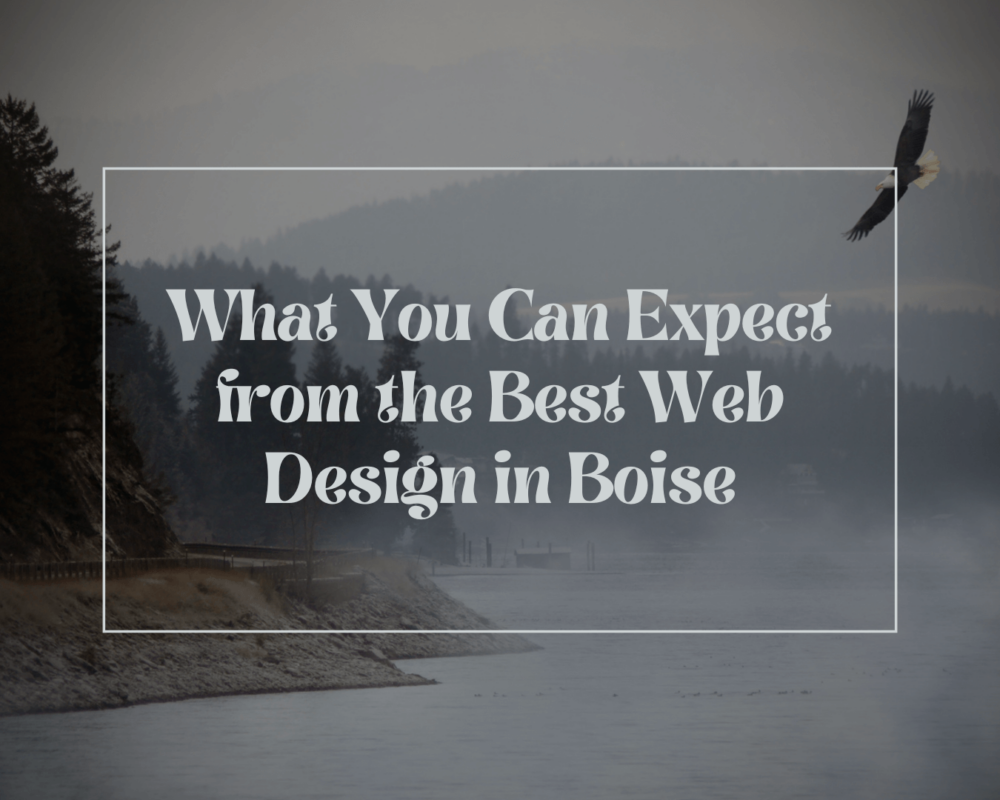 Best Web Design in Boise