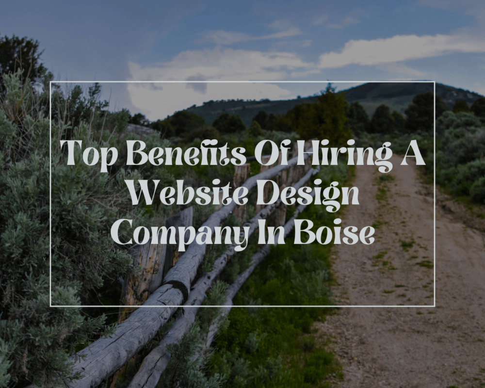 Website Design Company in Boise