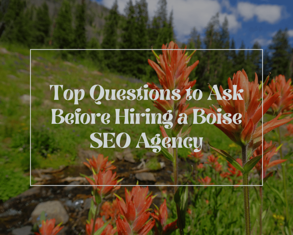 Boise SEO Agency