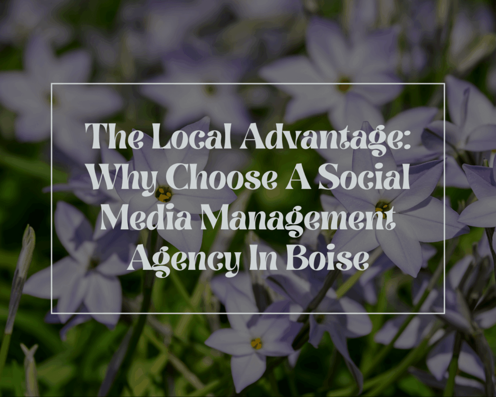 Social Media Management Agency in Boise