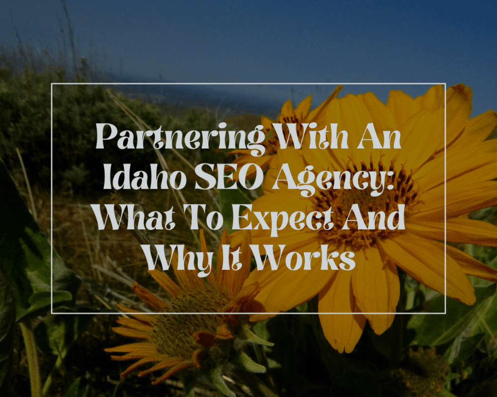 Idaho SEO Agency