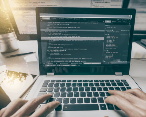 WordPress Development Services in Boise