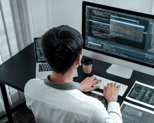 wordpress development boise services