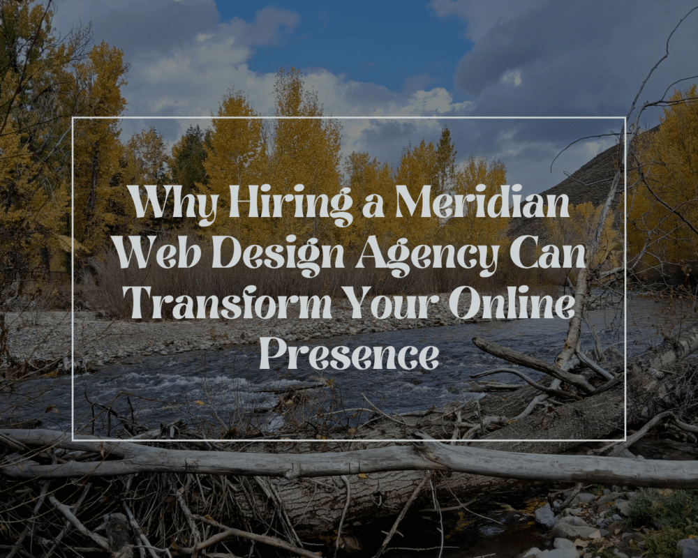 meridian web design agency